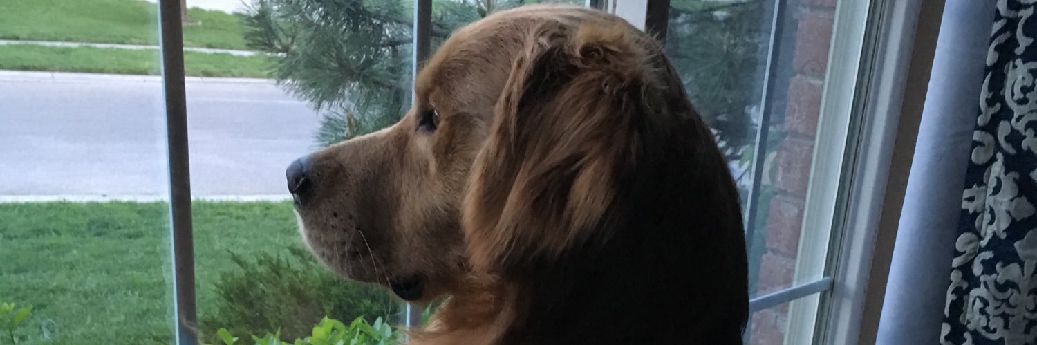 thetechteacher's profile banner image