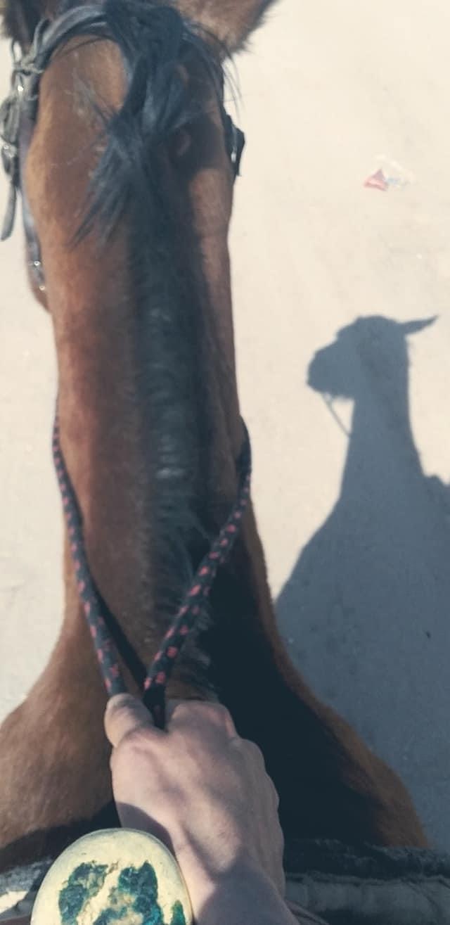 AlvarezJjoaquin's profile banner image