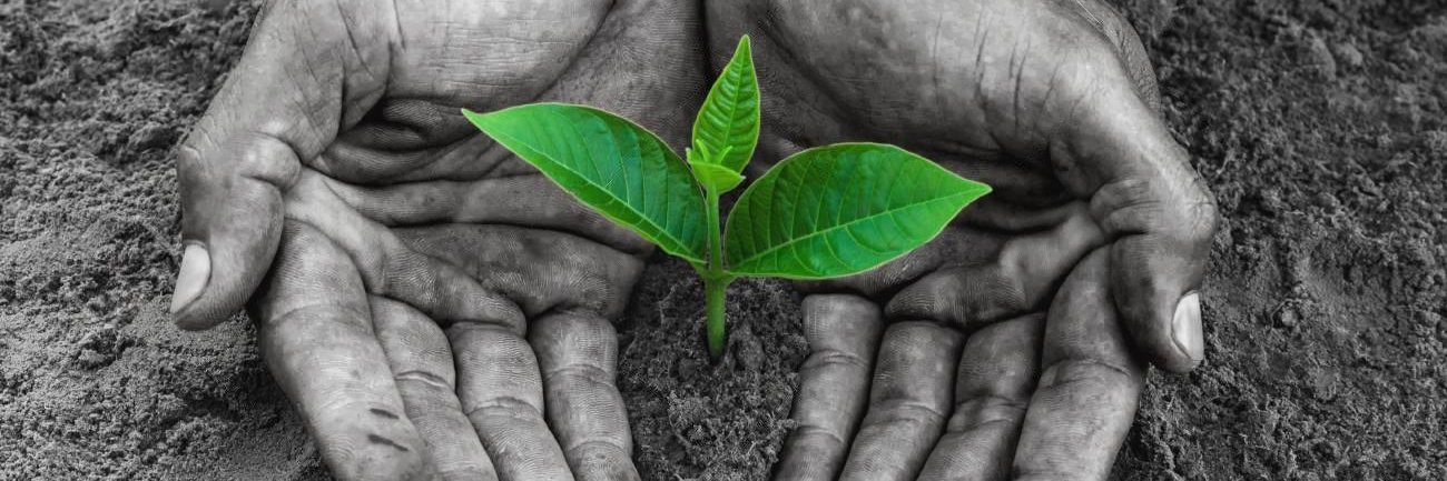 Maa Mahatari #ConsciousPlanet banner