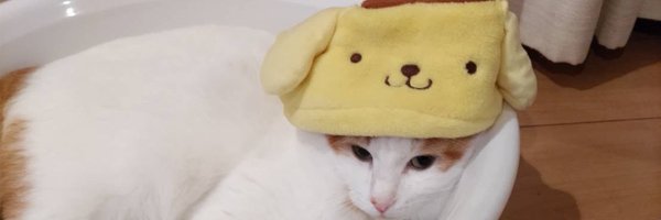 haruuuuuuu_0711 Profile Banner