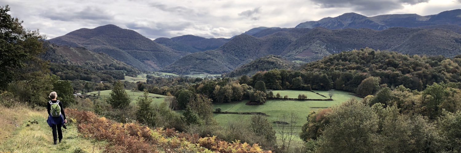 La Loubere François 🇫🇷 banner
