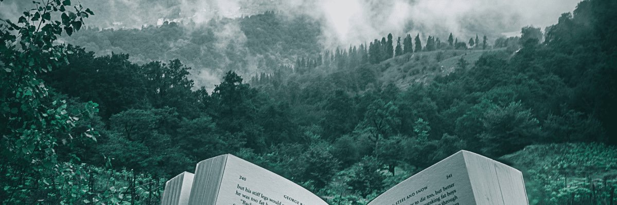 B banner