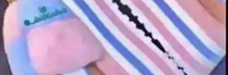 Sylvia🧜‍♀️ banner