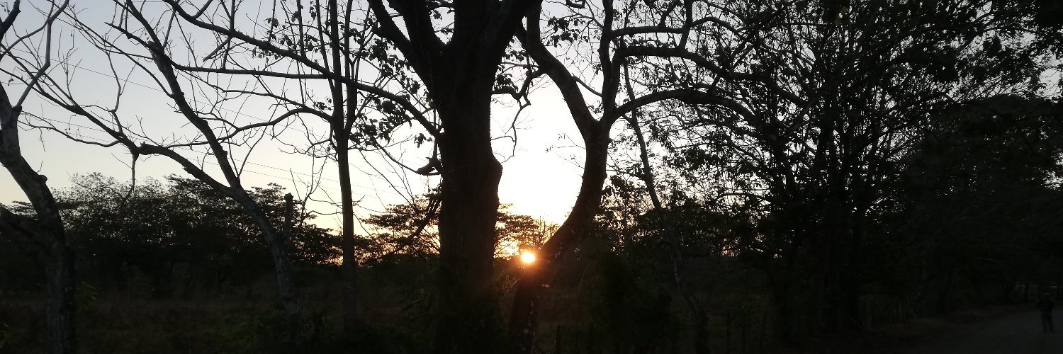 _Carlos1347's profile banner image