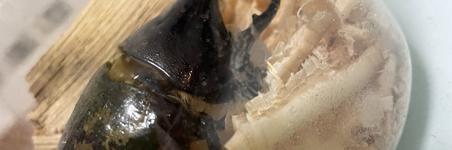 黄泉瀬幽（よみせ ゆう） banner