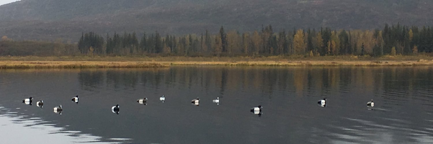 AKduckguy's profile banner image