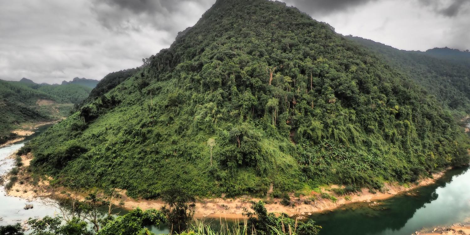 Nigel Paterson banner