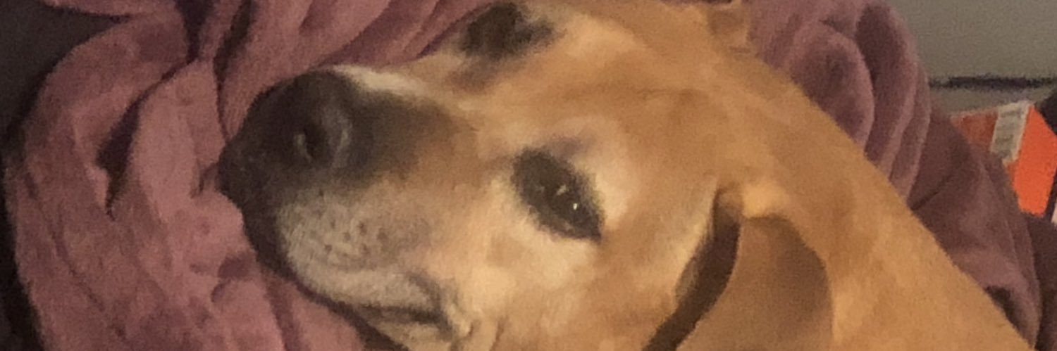 _Navarro__'s profile banner image