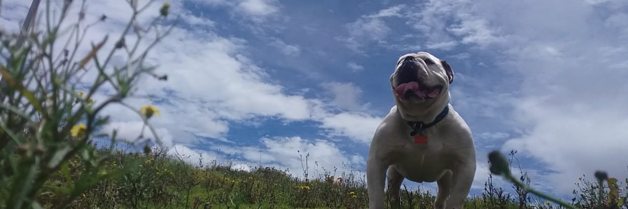 edissonmo ❤️💙 banner