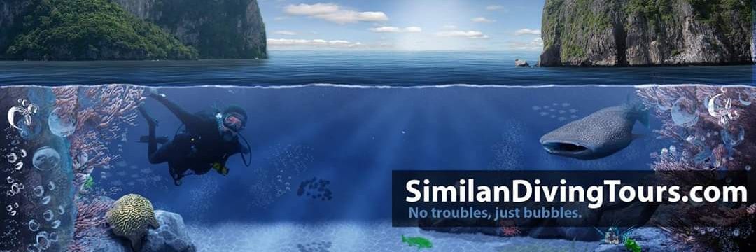 SimilanDiveTour's profile banner image