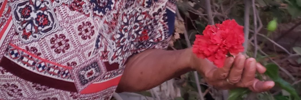 carmenedith03's profile banner image