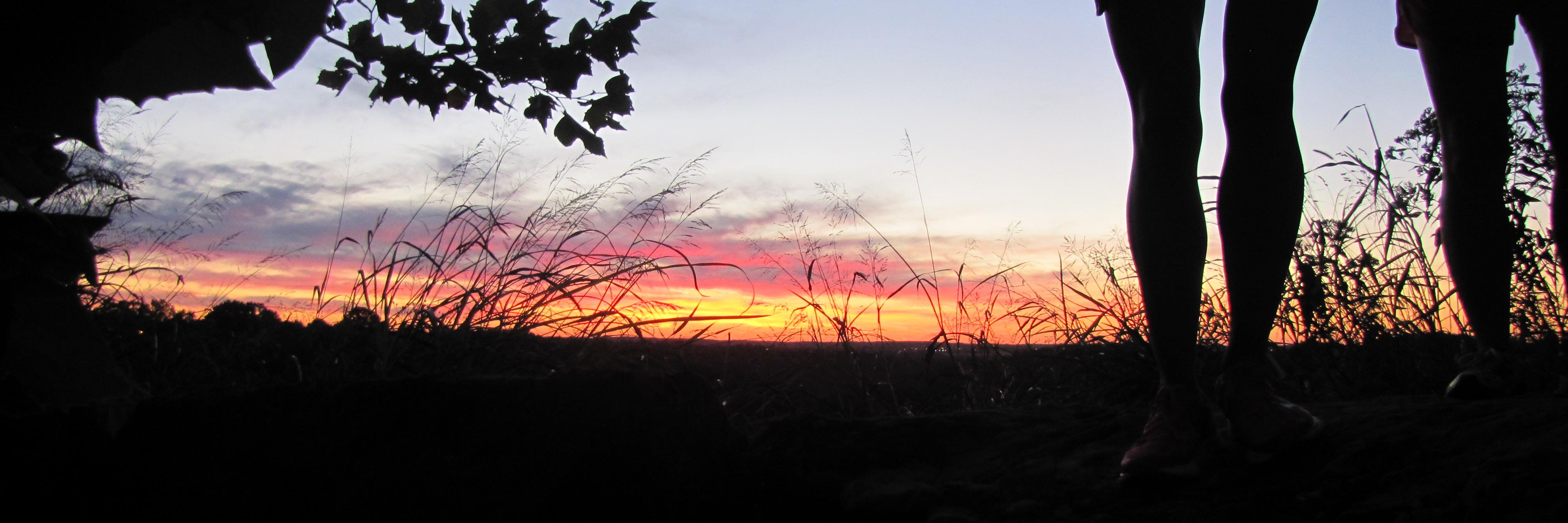 BP Fitness Festival banner