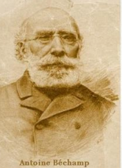 Dr. Modales Bechamp banner