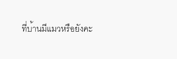 Dearrainn6's profile banner image