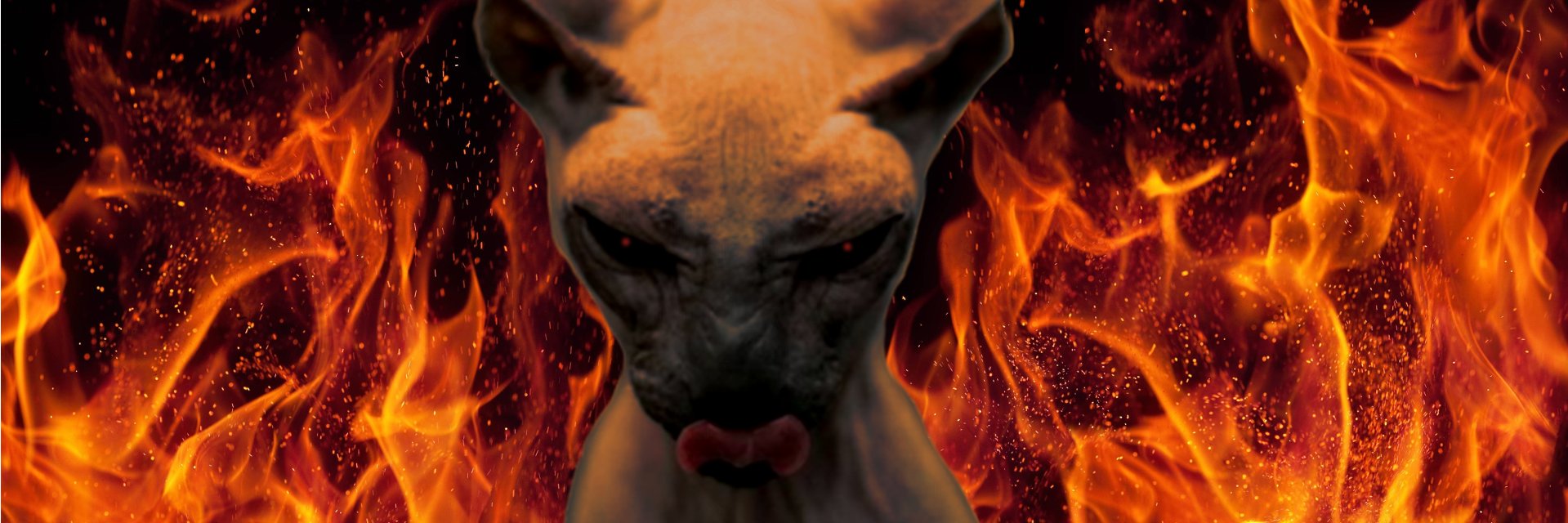 vsnine's profile banner image