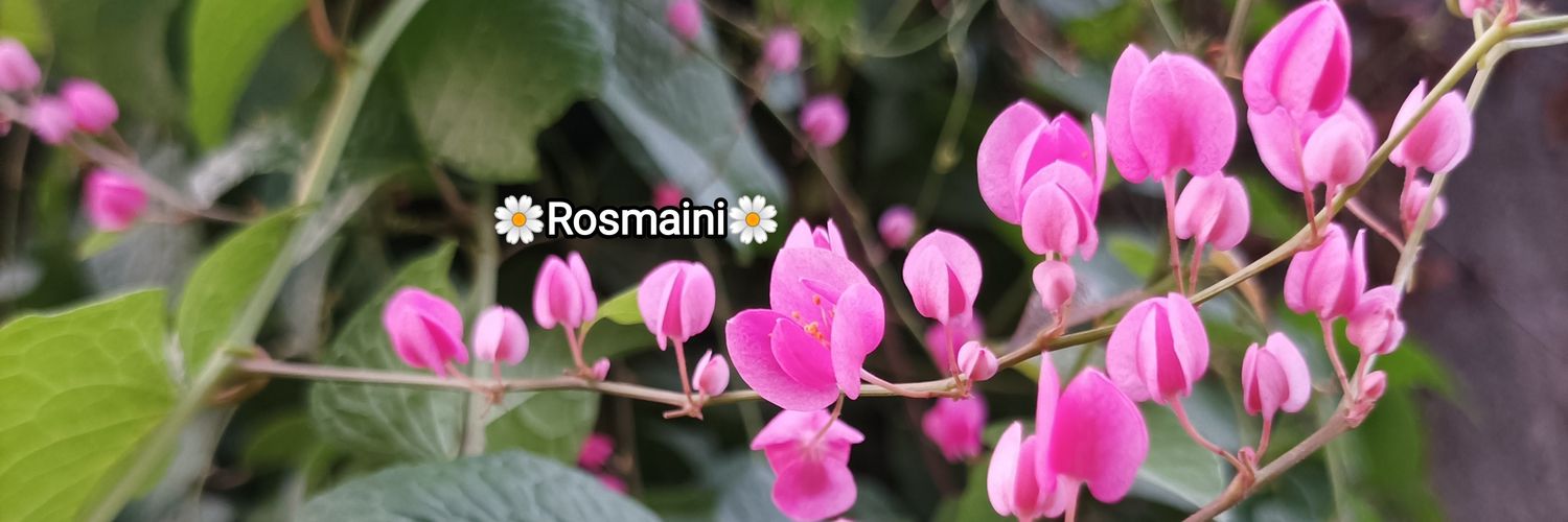 🌼Rosmaini🌼's banner
