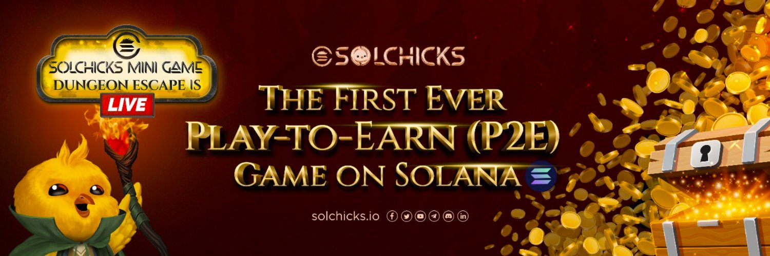 SolChicks banner