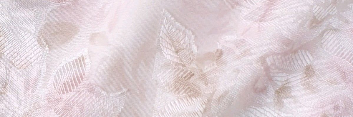babyphachi banner
