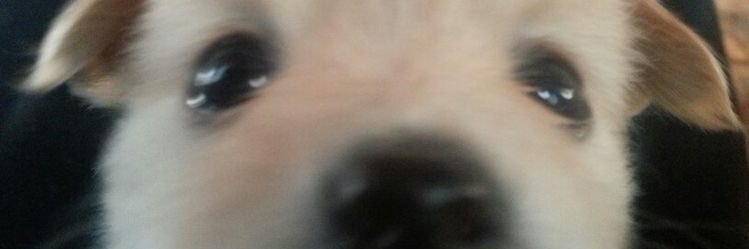 一向 banner