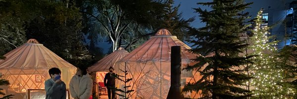 AnEffingLady Profile Banner