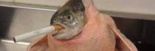 yy banner