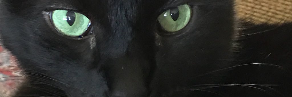 manda_tee's profile banner image