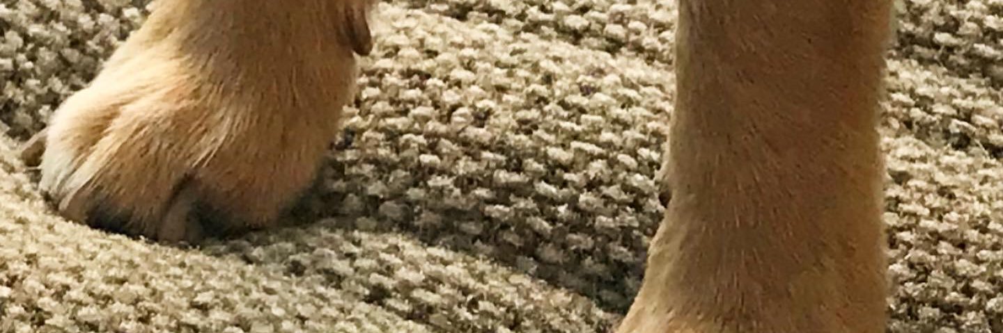 Andrew 🌌 banner