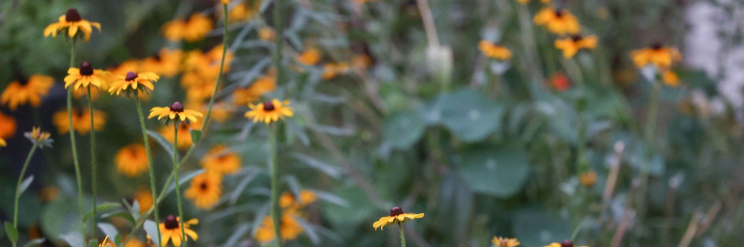 Homevoyaging's profile banner image