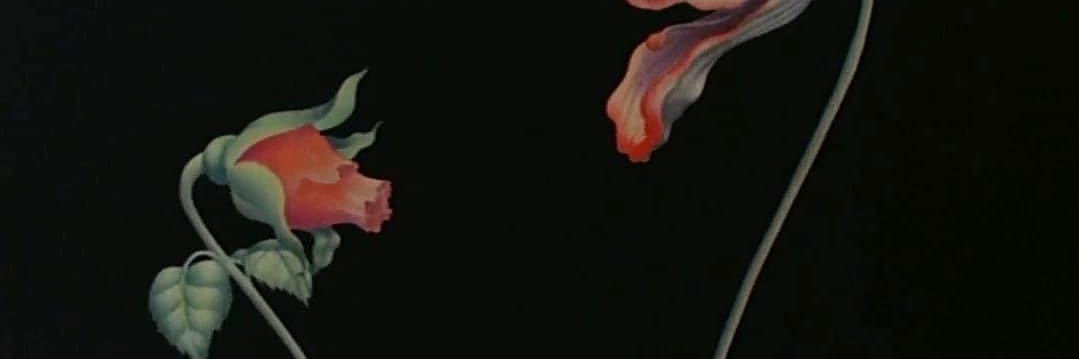 jeripar's profile banner image