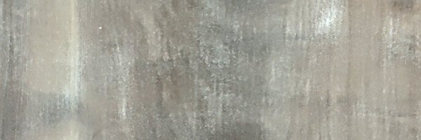 ShJasbir Profile Banner