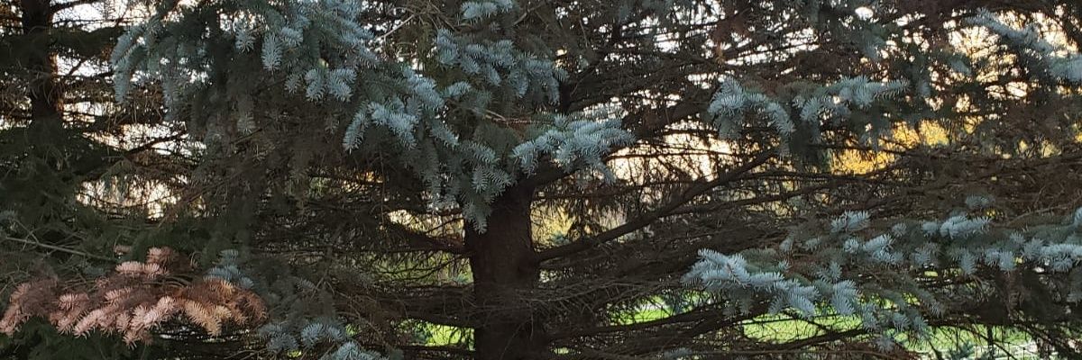 paulmann74's profile banner image