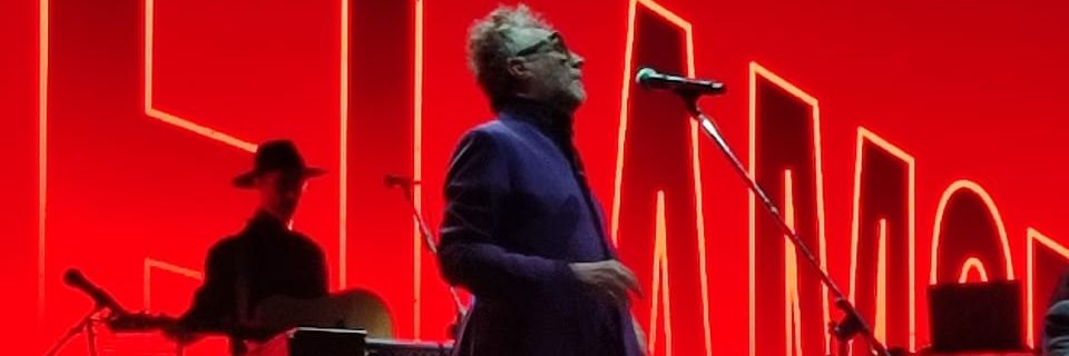 gustavo banner