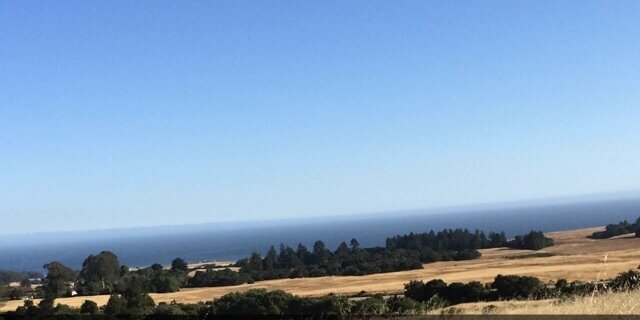 bernard ibarra banner