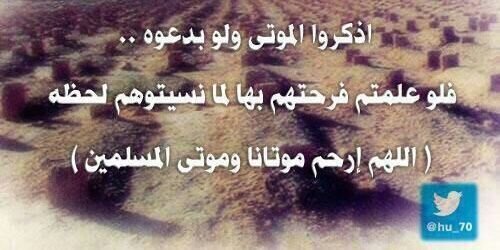 shafib's profile banner image