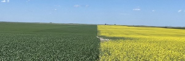 NDSUCropsystems Profile Banner