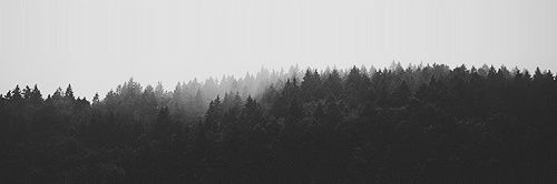 🇸🇦̿ ̶H̶r̶b̶i̶ banner