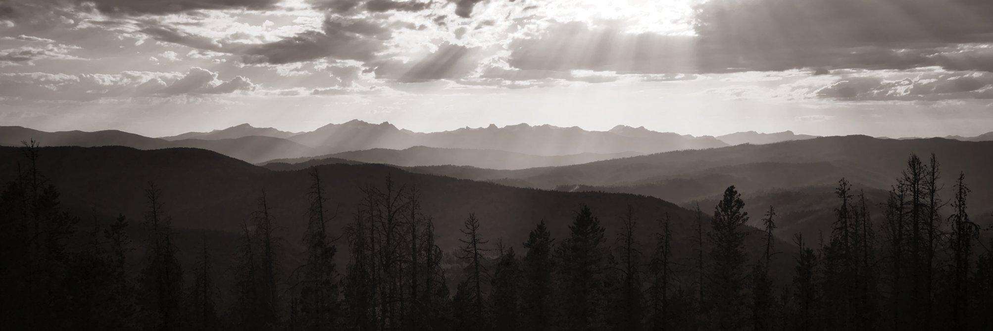 mitzilewis's profile banner image