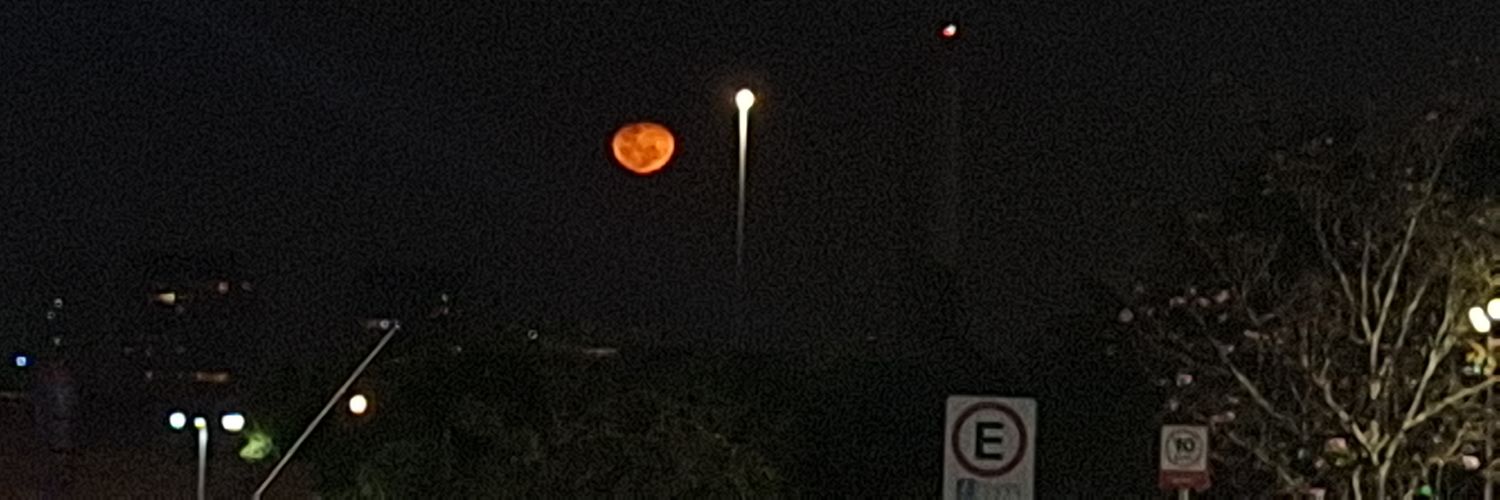 𝑪𝑟𝑖𝑠𝑡𝑦 banner