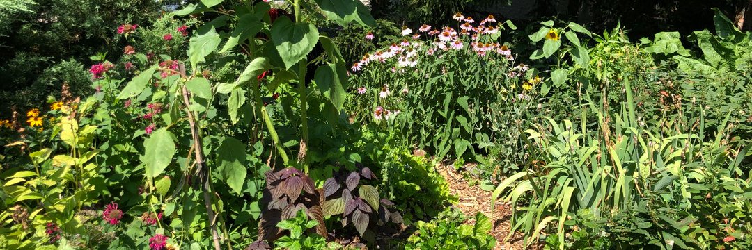 greenthumbgrows banner