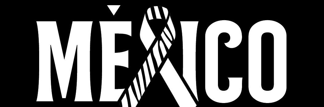 NETs México banner