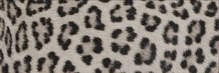 ୭ৎ martie. ☕ (-1/11kg) banner
