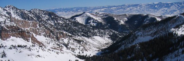DJPowellLab Profile Banner