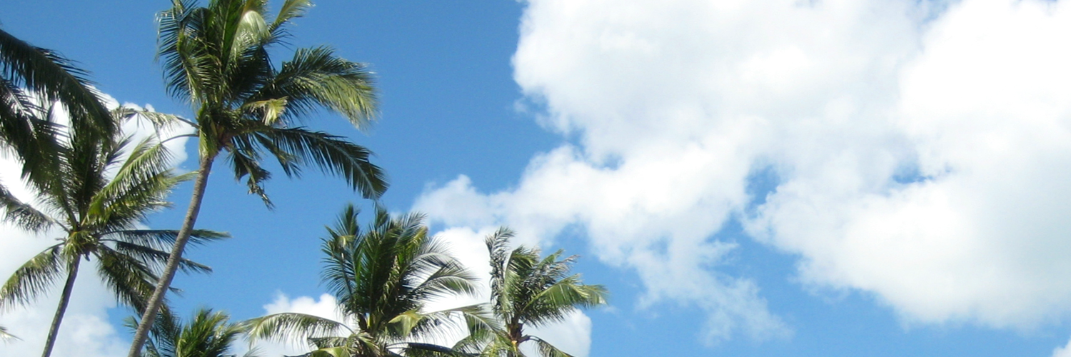 LifeIsEnak's profile banner image