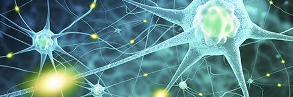 tpodlaski Profile Banner