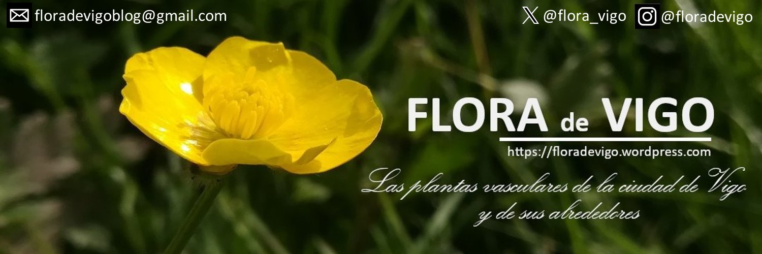 Flora de Vigo banner