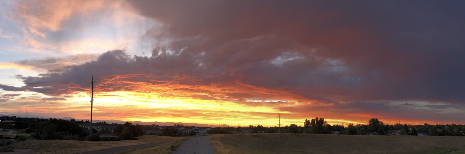 Jessica Campbell banner