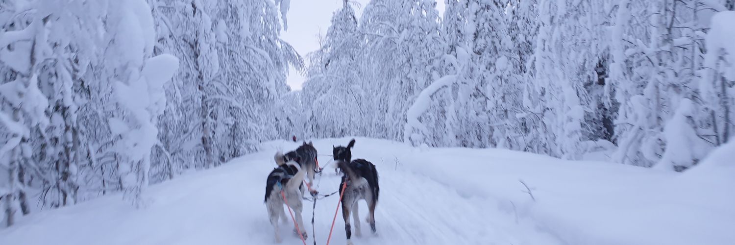 • BOUBOULE • banner