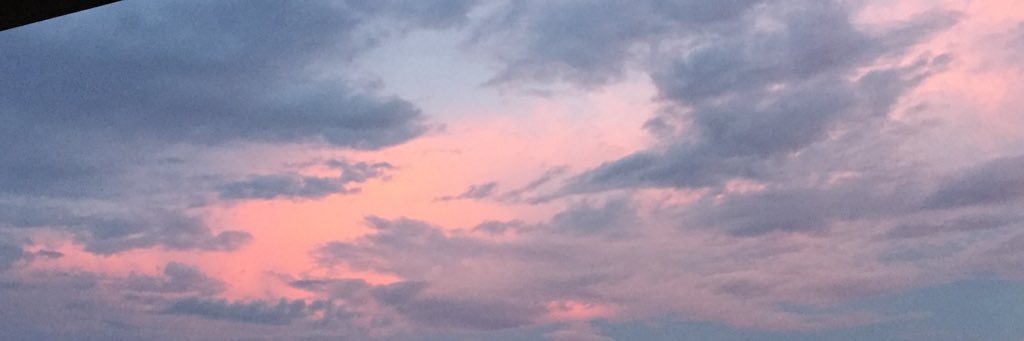 Margaret Peck banner