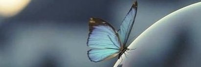 Munifa_ali's profile banner image