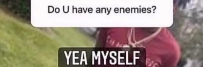 thalinhos brownie banner